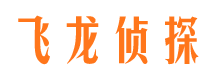 定南飞龙私家侦探公司